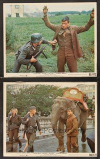 3j895 HANNIBAL BROOKS 2 8x10 mini LCs '69 Oliver Reed w/elephant & Nazis, Michael Winner directed!