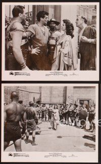 3j177 DEMETRIUS & THE GLADIATORS 9 8x10 stills '54 art of Biblical Victor Mature & Susan Hayward!