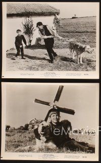 3j371 DOG OF FLANDERS 4 8x10 stills '59 Donald Crisp, David Ladd & his huge beloved dog Patrasche!