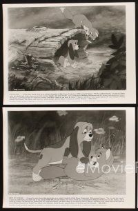 3j318 FOX & THE HOUND 5 8x10.25 stills '81 friends who didn't know they were supposed to be enemies!