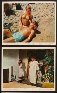 3j603 DON'T MAKE WAVES 8 color EngUS 8x10 stills '67 Tony Curtis, Sharon Tate & Claudia Cardinale!