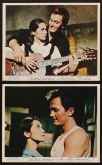 3j635 MAIN ATTRACTION 8 color English FOH LCs '62 many images of Pat Boone & sexy Nancy Kwan!