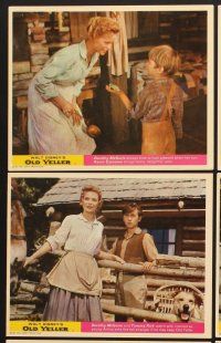 3j645 OLD YELLER 8 color English FOH LC R67 Dorothy McGuire, Fess Parker, Disney's classic canine!