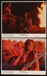 3j653 RED SONJA 8 8x10 mini LCs '85 Brigitte Nielsen & Arnold Schwarzenegger, sexy Sandahl Bergman!