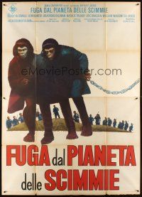 3m041 ESCAPE FROM THE PLANET OF THE APES Italian 2p '71 sci-fi seuqel!