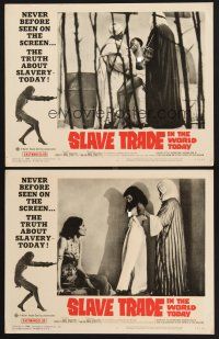3p899 SLAVE TRADE IN THE WORLD TODAY 2 LCs '65 the smuggled motion pictures of a sheik's harem!