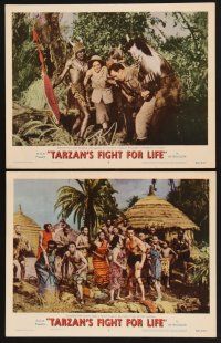 3p939 TARZAN'S FIGHT FOR LIFE 2 LCs '58 Gordon Scott is captured by most savage African natives!