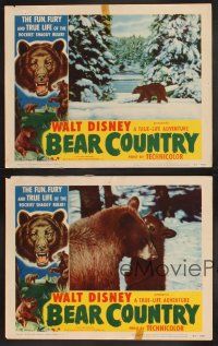 3p089 BEAR COUNTRY 4 LCs '53 Walt Disney True-Life Adventure, cool bear images!