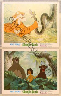 3p409 JUNGLE BOOK 3 LCs '67 Walt Disney cartoon classic, Mowgli, Baloo, Shere Khan!