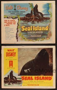 3p252 SEAL ISLAND 4 LCs '49 cool images & art from Walt Disney True Life documentary!