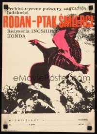 3x356 RODAN Polish 11x16 '67 Ishiro Honda's Sora no Daikaiju Radon, art of flying monster!