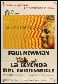 4a775 COOL HAND LUKE Argentinean R70s cool art of Paul Newman, prison escape classic!