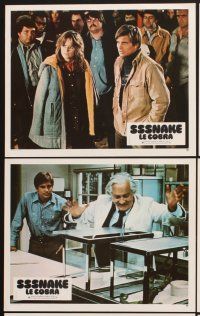 4b739 SSSSSSS 12 French LCs '73 Strother Martin, Dirk Benedict, Heather Menzies, cobra snakes!
