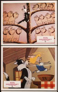 4b983 TITI GROSMINET ET LEURS AMIS 6 French LCs '70s Sylvester & Tweetybird animation!