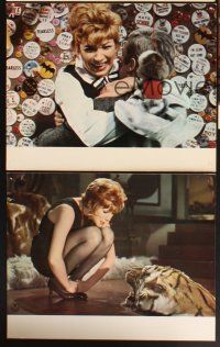 4b593 SWEET CHARITY 7 German LCs '69 Bob Fosse musical starring Shirley MacLaine!