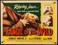 4d146 FANGS OF THE WILD 1/2sh '54 great image of Shep the Wonder Dog tearing into his foe!