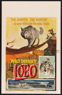 4k350 LEGEND OF LOBO WC '63 Walt Disney, King of the Wolfpack, cool artwork of wolf being hunted!