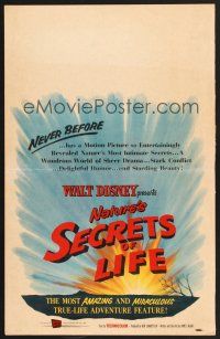 4k454 SECRETS OF LIFE WC '56 Disney's most amazing & miraculous True Life Adventure feature!