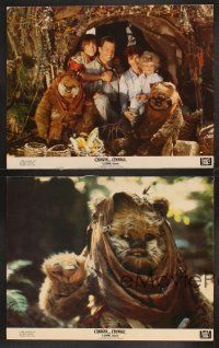 4m155 CARAVAN OF COURAGE 8 color 11x14 stills '84 Eric Walker, An Ewok Adventure, Star Wars!