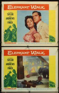 4m217 ELEPHANT WALK 8 LCs R60 sexy Elizabeth Taylor, Dana Andrews & Peter Finch in India!