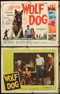 4m709 WOLF DOG 8 LCs '58 Allison Hayes, Prince the German Shepherd dog!