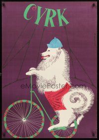 4r093 CYRK Polish circus poster '73 Gustaw Majewski art of bicycle riding dog!