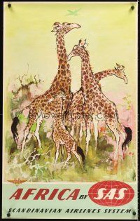 4y219 AFRICA BY SAS Danish travel poster '50s Otto Nielsen wildlife art of giraffes!