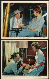 5a218 HOME FROM THE HILL 7 color 8x10 stills '60 Robert Mitchum, Eleanor Parker & George Peppard!