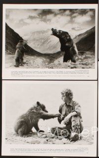 5d664 BEAR presskit '88 Jean-Jacques Annaud's L'Ours, from the novel by James Oliver Curwood!