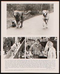 5d796 HOMEWARD BOUND presskit '93 Walt Disney, great images of cat & dogs traveling together!