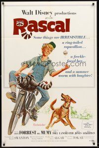 5f737 RASCAL 1sh '69 Walt Disney, great art of Bill Mumy on bike with raccoon & dog!