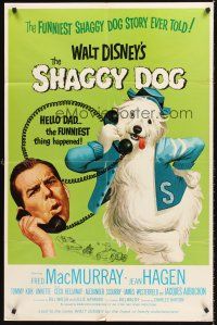 5f802 SHAGGY DOG 1sh R67 Disney, Fred MacMurray in the funniest sheep dog story ever told!