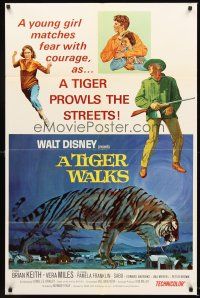 5f918 TIGER WALKS style A 1sh '64 Walt Disney, art of Brian Keith standing by huge prowling tiger!