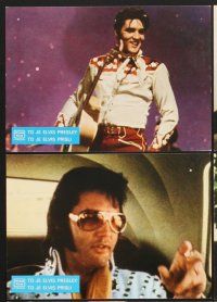 5g709 THIS IS ELVIS 8 Yugoslavian LC '81 Elvis Presley rock 'n' roll biography, different images!