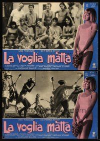 5j157 CRAZY DESIRE 12 Italian photobustas '62 Ugo Tognazzi, Catherine Spaak, La voglai matta