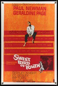 5p870 SWEET BIRD OF YOUTH 1sh '62 Paul Newman, Geraldine Page, from Tennessee Williams' play!