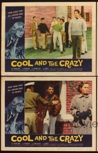 5r940 COOL & THE CRAZY 4 LCs '58 savage punks on binge of violence, Dick Bakalyan, classic '50s!