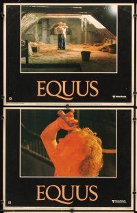 5r172 EQUUS 8 LCs '77 Richard Burton, Jenny Agutter, Peter Firth, directed by Sidney Lumet!