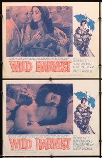 5r666 WILD HARVEST 8 LCs '61 he harvested the choicest women & wished they killed him instead!