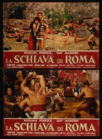 5t288 SLAVE OF ROME 11 Italian photobustas '61 Guy Madison, Podesta, sword & sandal gladiators!