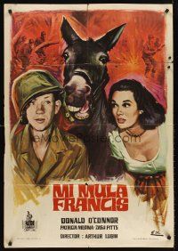 5t204 FRANCIS THE TALKING MULE Spanish '50 art of Donald O'Connor, donkey & Patricia Medina!