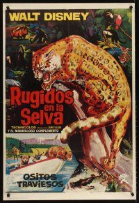 5t209 JUNGLE CAT Spanish '65 Disney, great artwork of jaguar, savage lord of the Amazon!