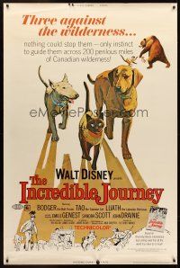 5w458 INCREDIBLE JOURNEY 40x60 R74 Disney, art of Bull Terrier, Siamese cat & Labrador Retriever!