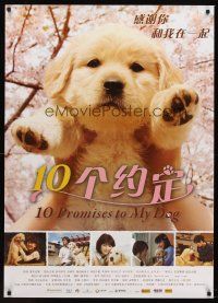5w082 10 PROMISES TO MY DOG Chinese 27x39 '08 Katsuhide Motoki, cutest puppy image!