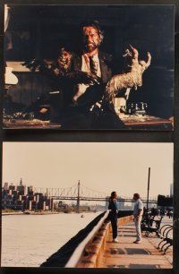 5z427 EYE OF THE EVIL DEAD 15 color Dutch 8x11 stills '82 Lucio Fulci's Manhattan Baby, different!