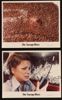5z467 SAVAGE BEES 8 color 8x10 stills '76 gruesome images of swarms of bees attacking people!