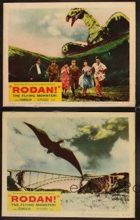 5z402 RODAN 4 LCs '57 all include special effects images of The Flying Monster, classic horror!