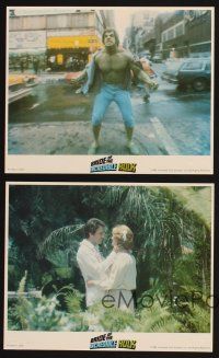 5z493 BRIDE OF THE INCREDIBLE HULK 4 8x10 mini LCs '80 Lou Ferrigno & Bill Bixby as the Marvel hero!