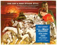6b275 MIRACLE OF THE WHITE STALLIONS TC '63 Walt Disney, Lipizzaner stallions & soldiers art!