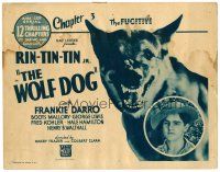 6b447 WOLF DOG chapter 3 TC '33 close up of fierce German Shepherd hero next to Frankie Darro!